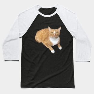 Orange cat scared face Baseball T-Shirt